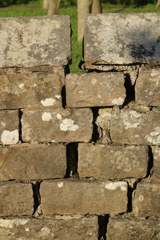 Stone Wall Repair in Grand Ledge, MI